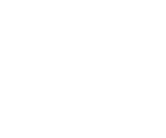Sicherheit am Computer symbolisiert